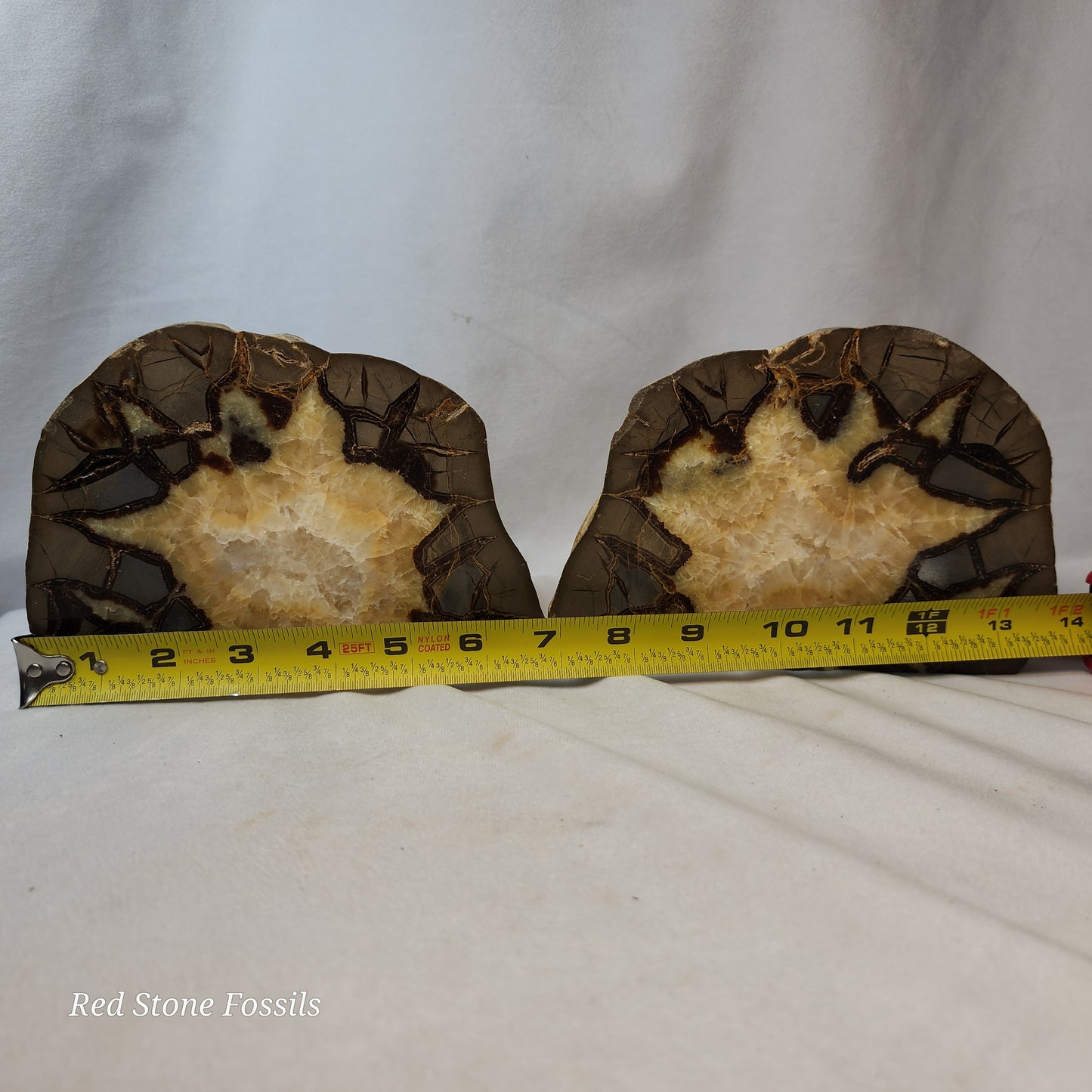 Split Septarian Bookends