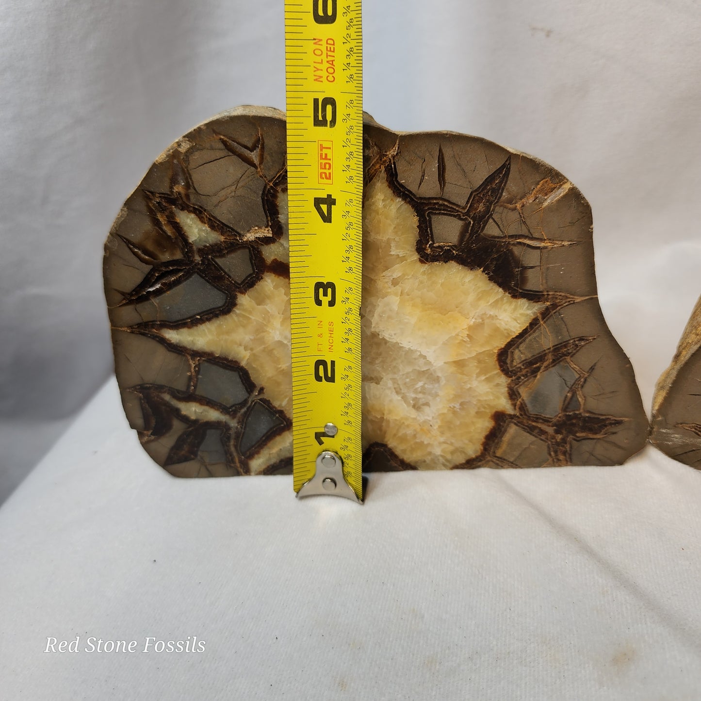 Split Septarian Bookends