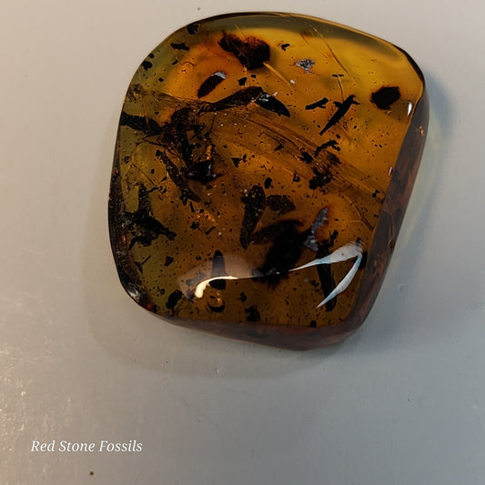 Awesome Amber with Inclusions