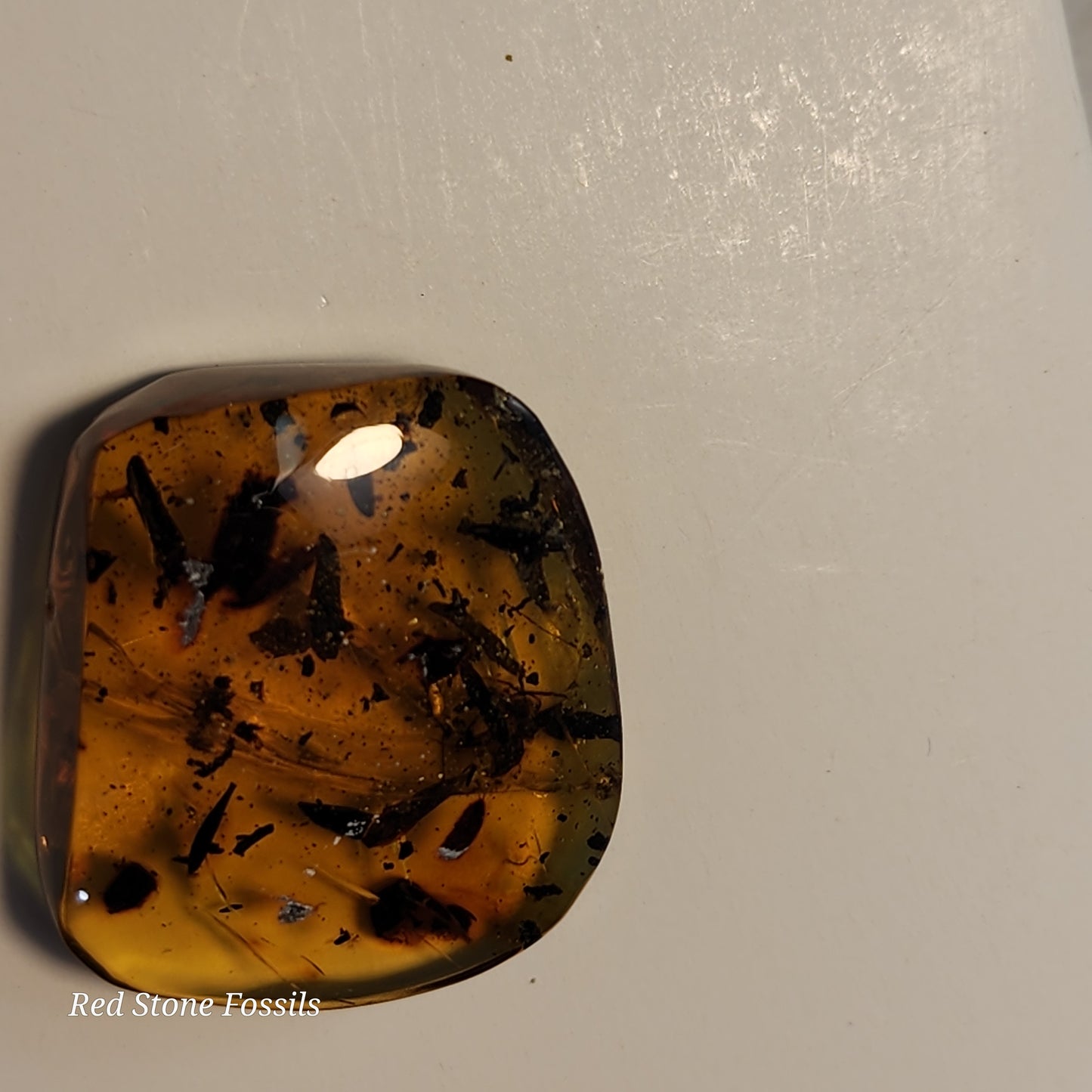 Awesome Amber with Inclusions