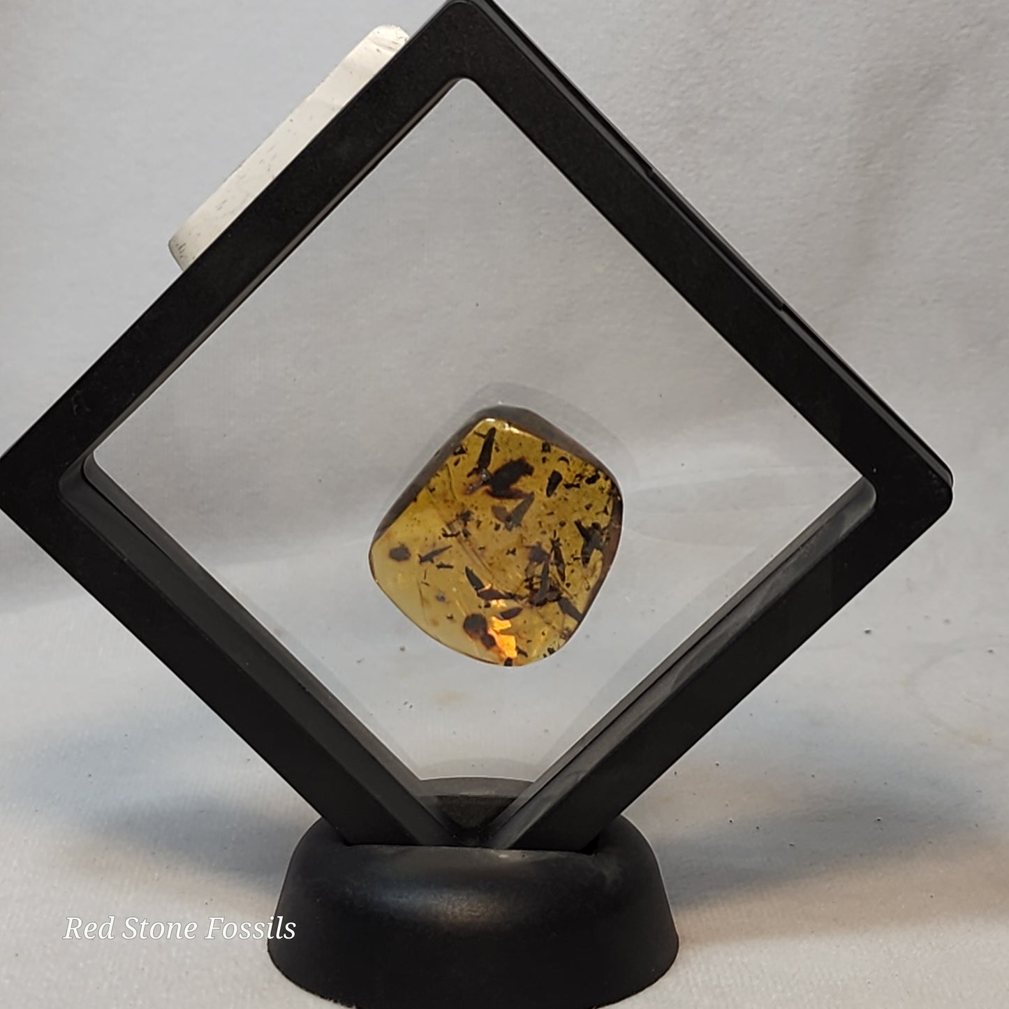 Awesome Amber with Inclusions