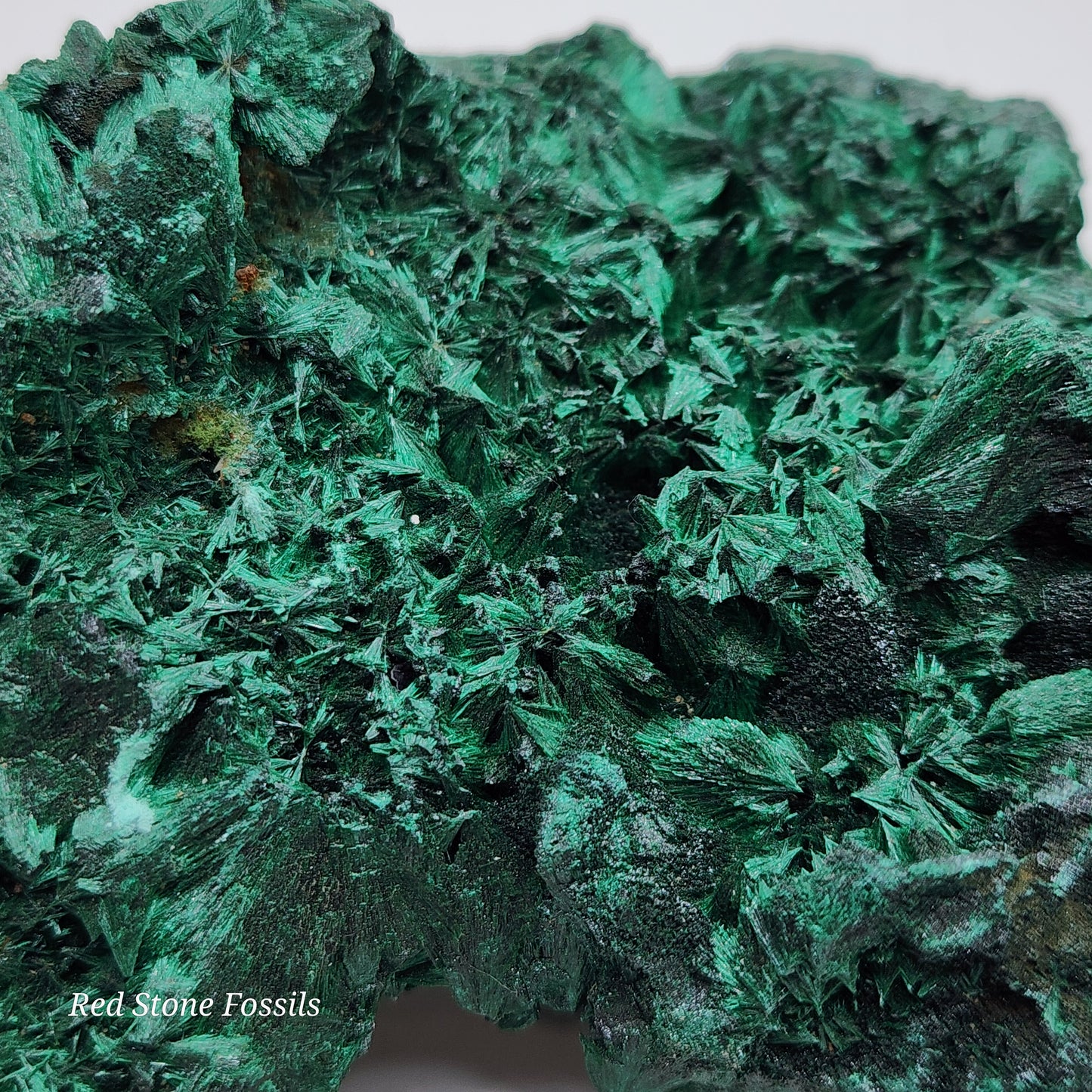 Fibrous Malachite