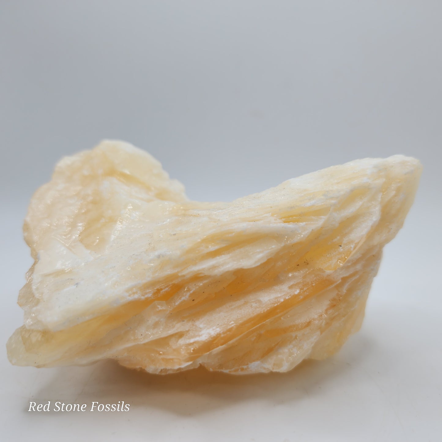 Gorgeous Angel Wing Calcite