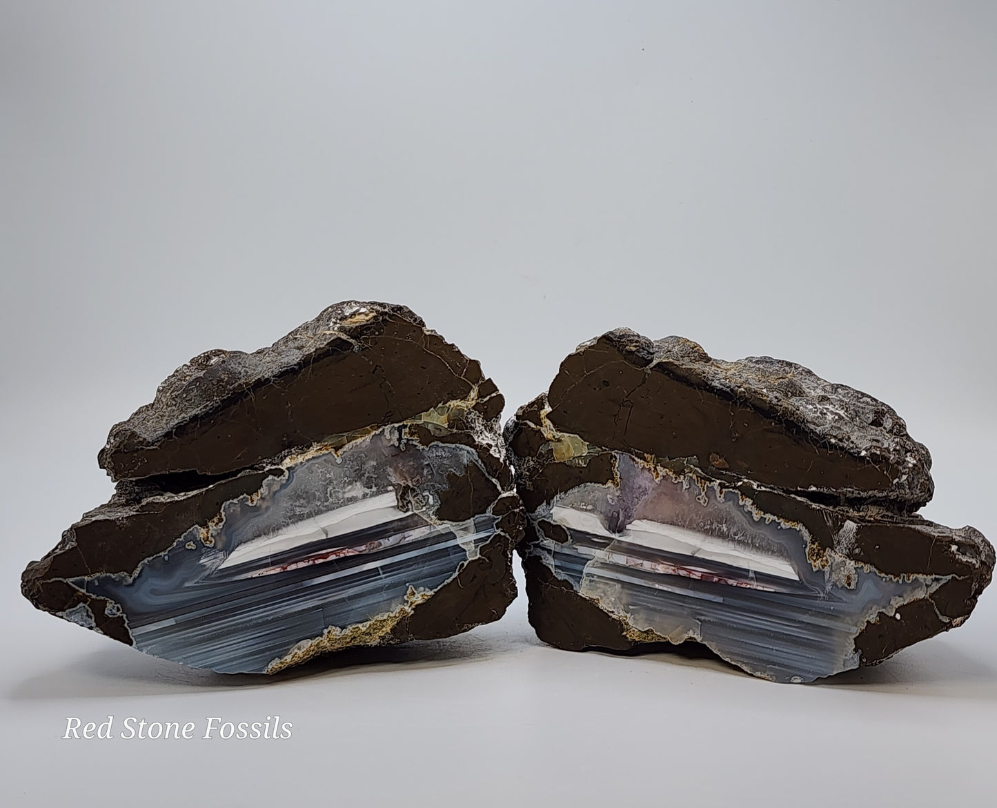 Terrifically Beautiful Thunderegg