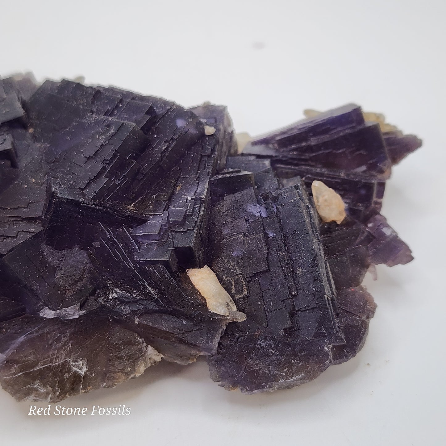 Pretty Purple Fluorite