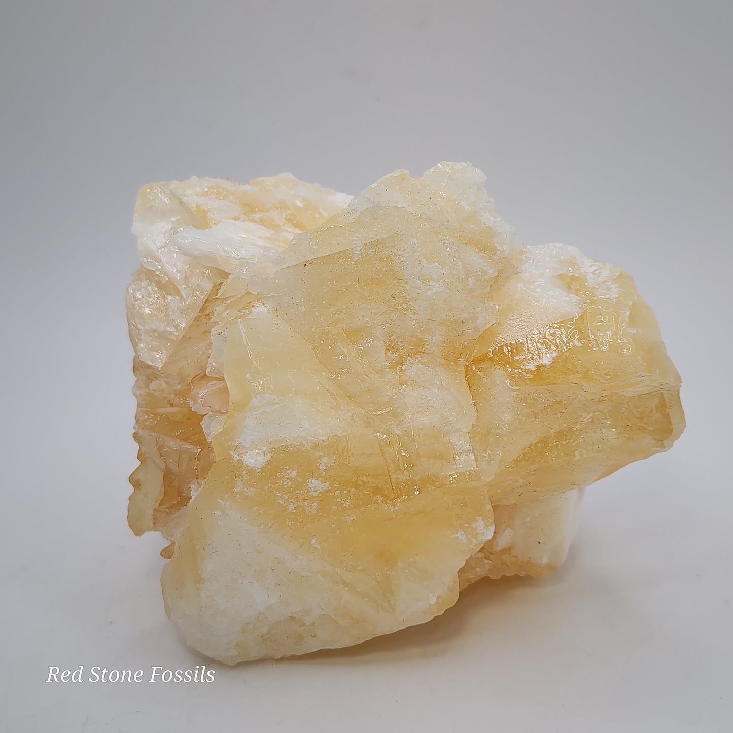 Delicate Angel Wing Calcite