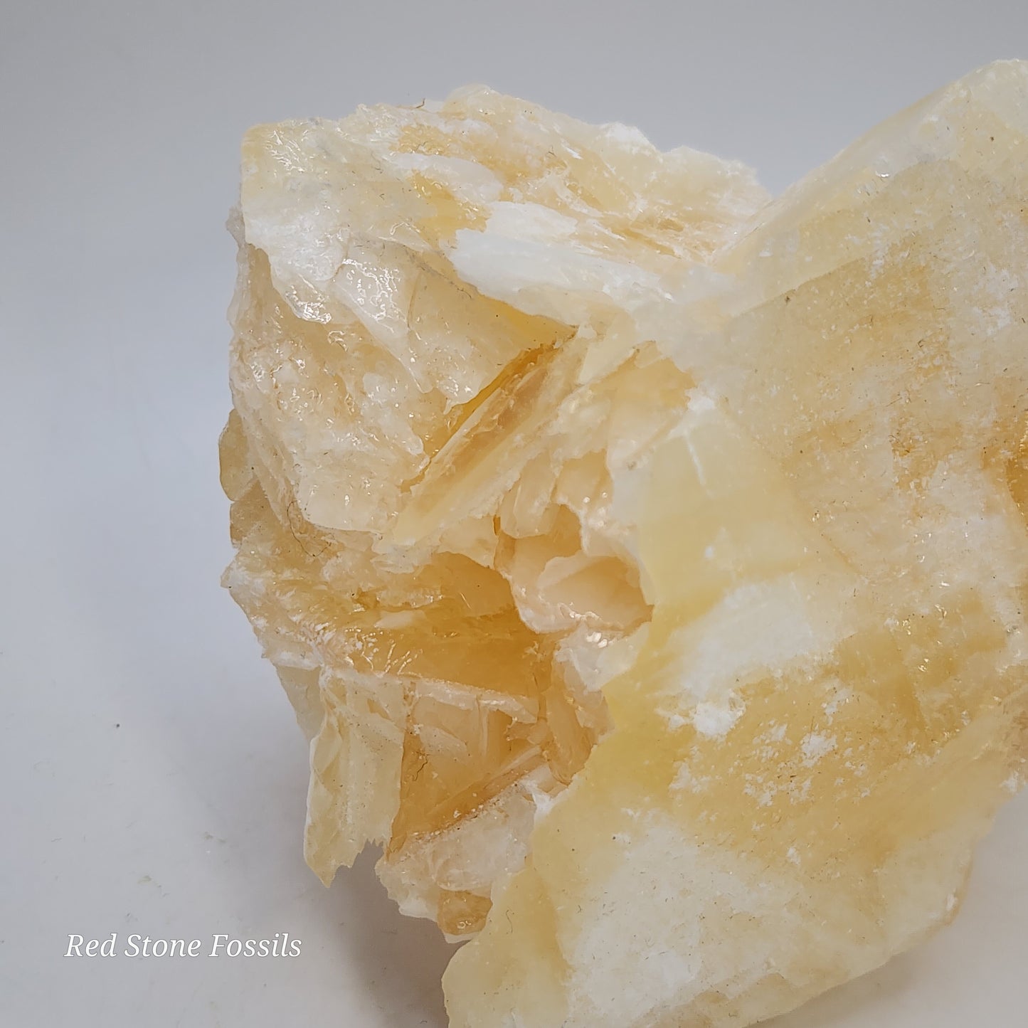 Delicate Angel Wing Calcite