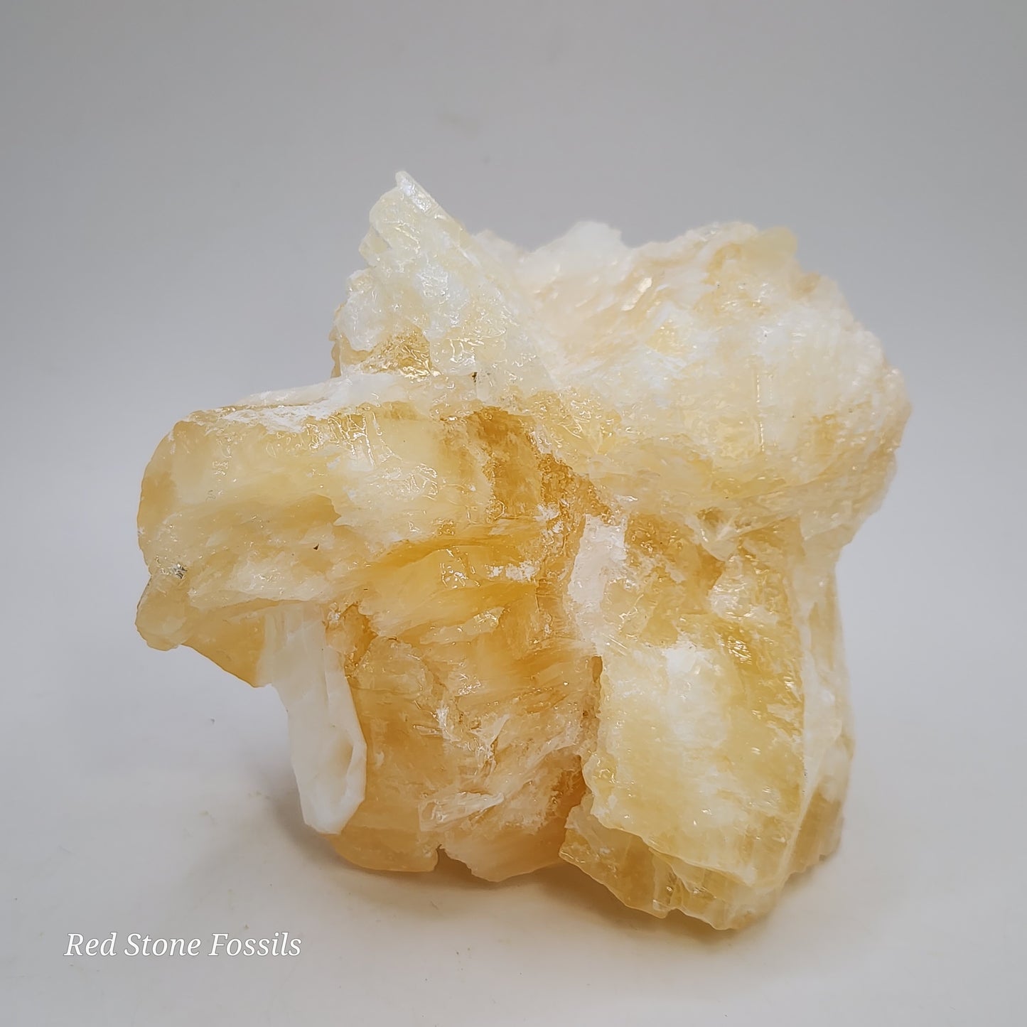 Delicate Angel Wing Calcite