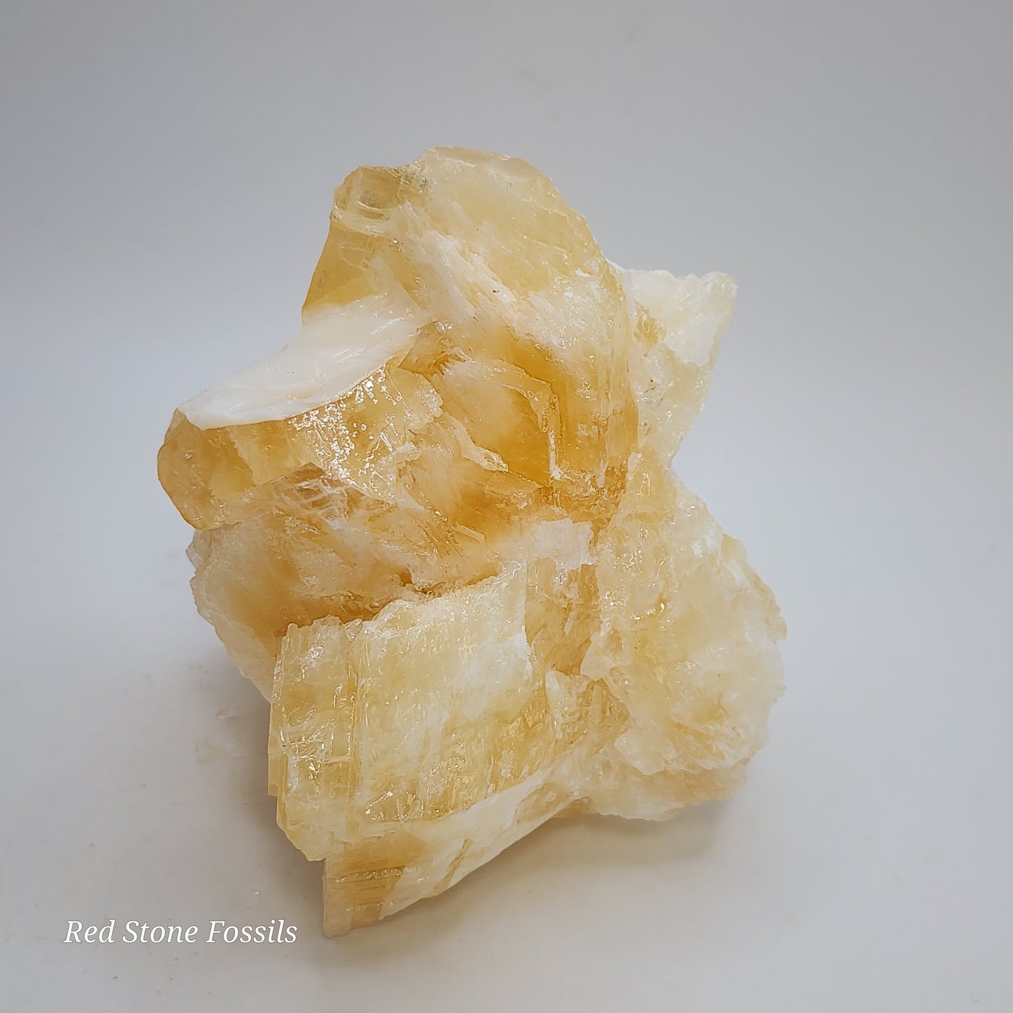 Delicate Angel Wing Calcite