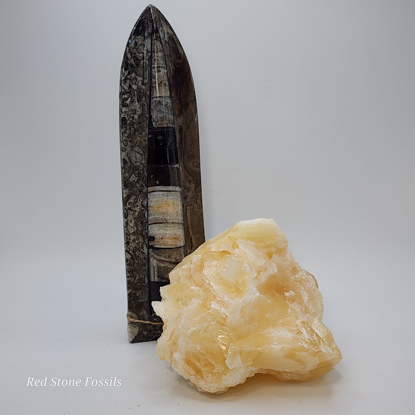 Delicate Angel Wing Calcite