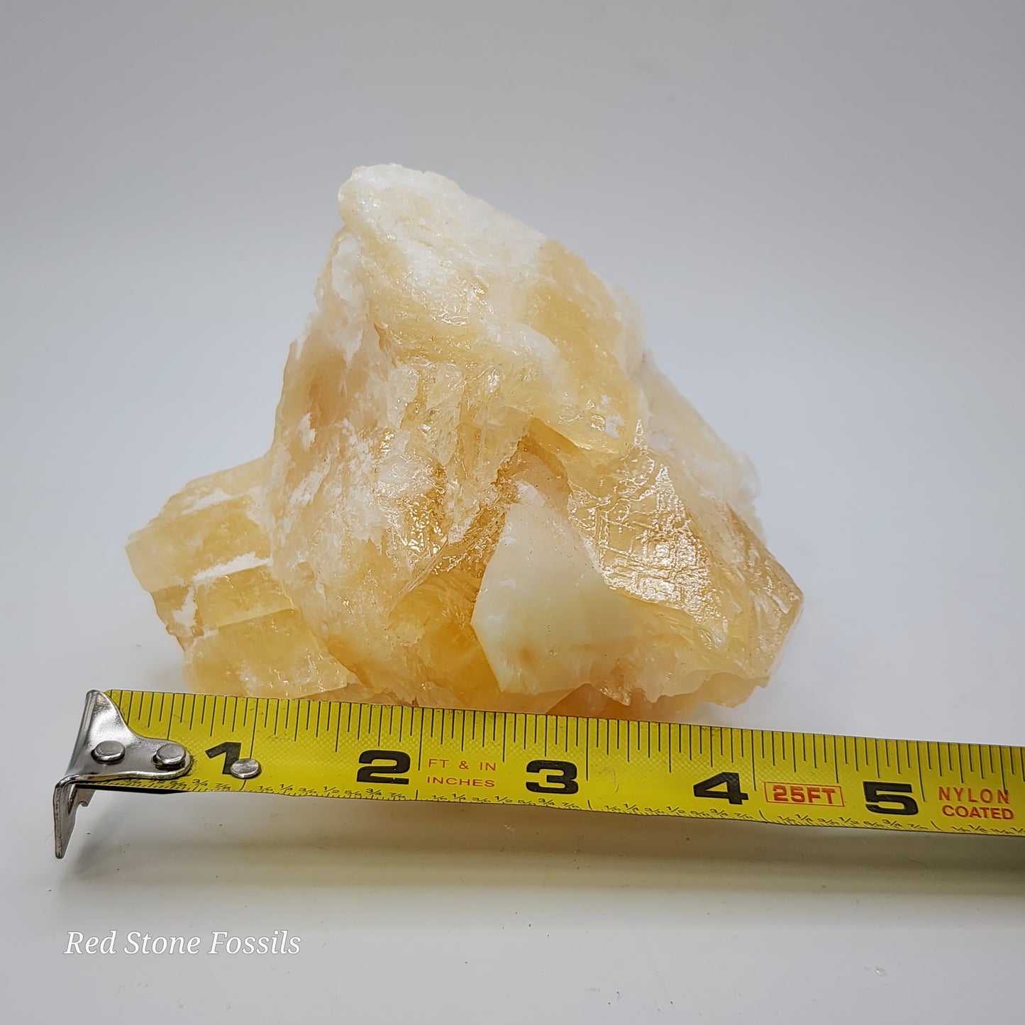 Delicate Angel Wing Calcite