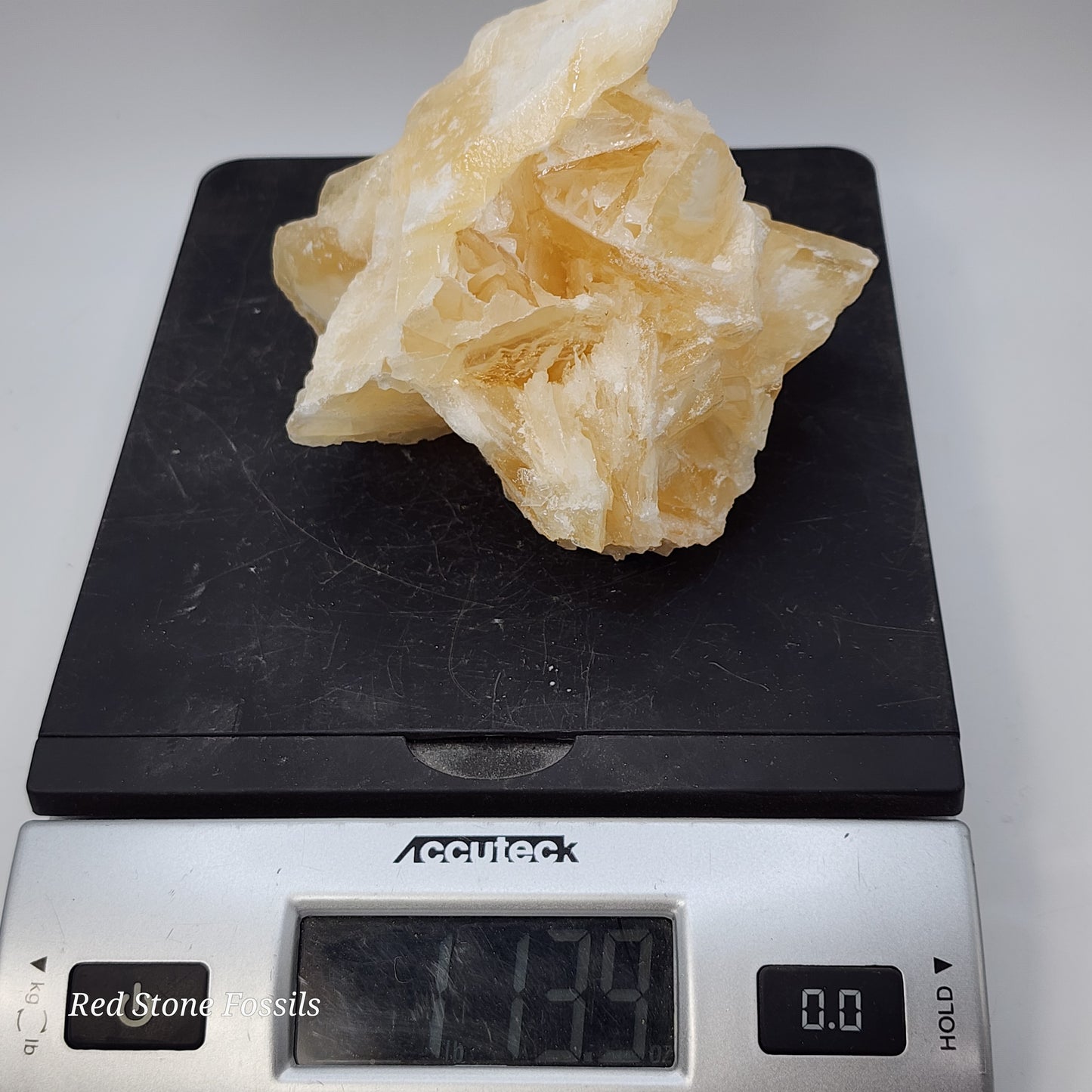 Delicate Angel Wing Calcite