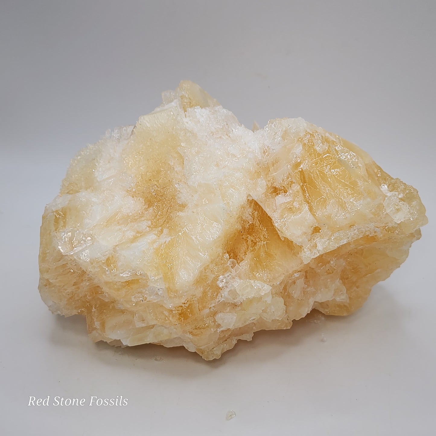 Beautiful Bladed Angel Wing Calcite