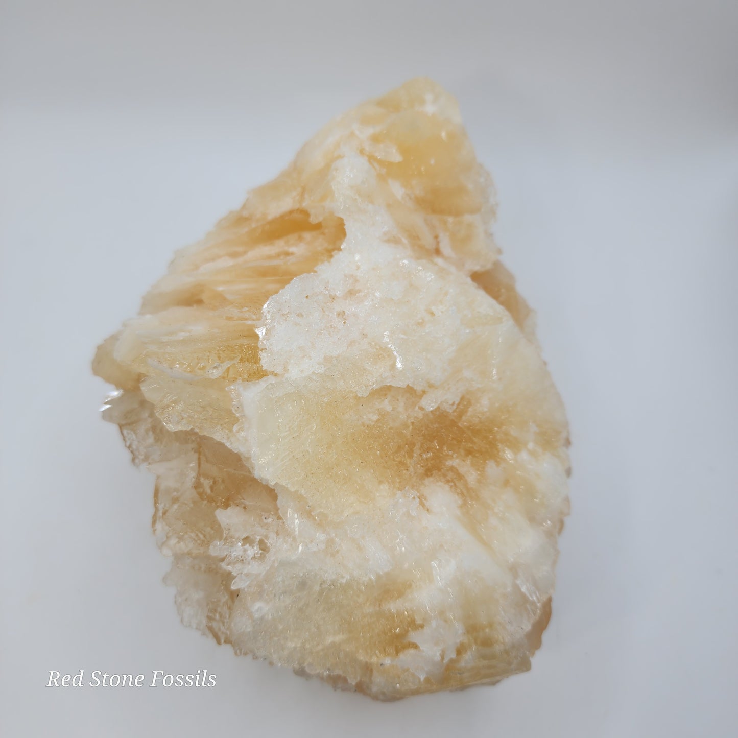 Beautiful Bladed Angel Wing Calcite