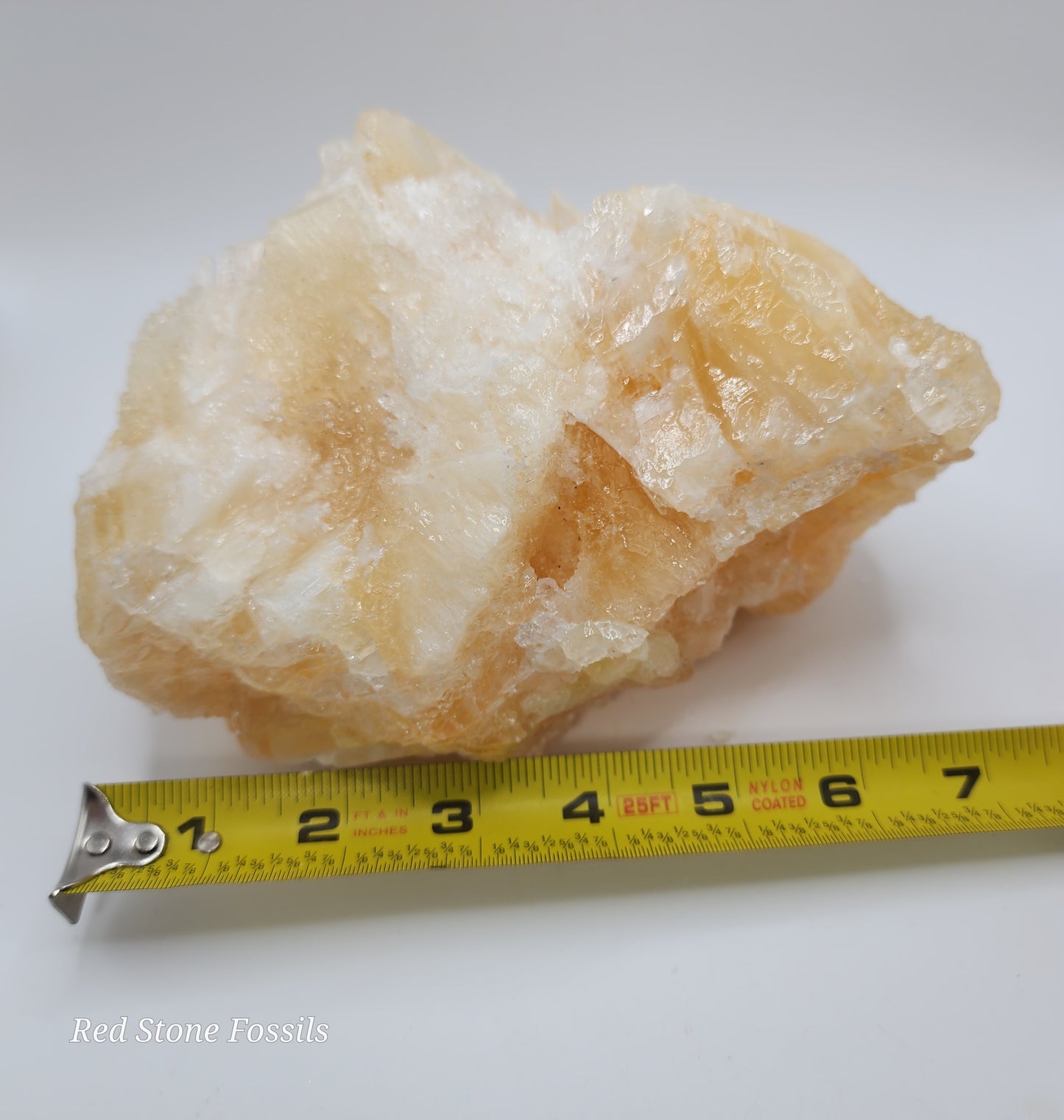 Beautiful Bladed Angel Wing Calcite