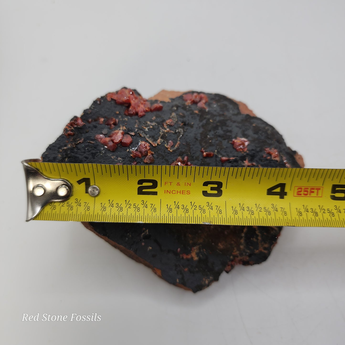 Vivacious Vanadinite on Black Goethite