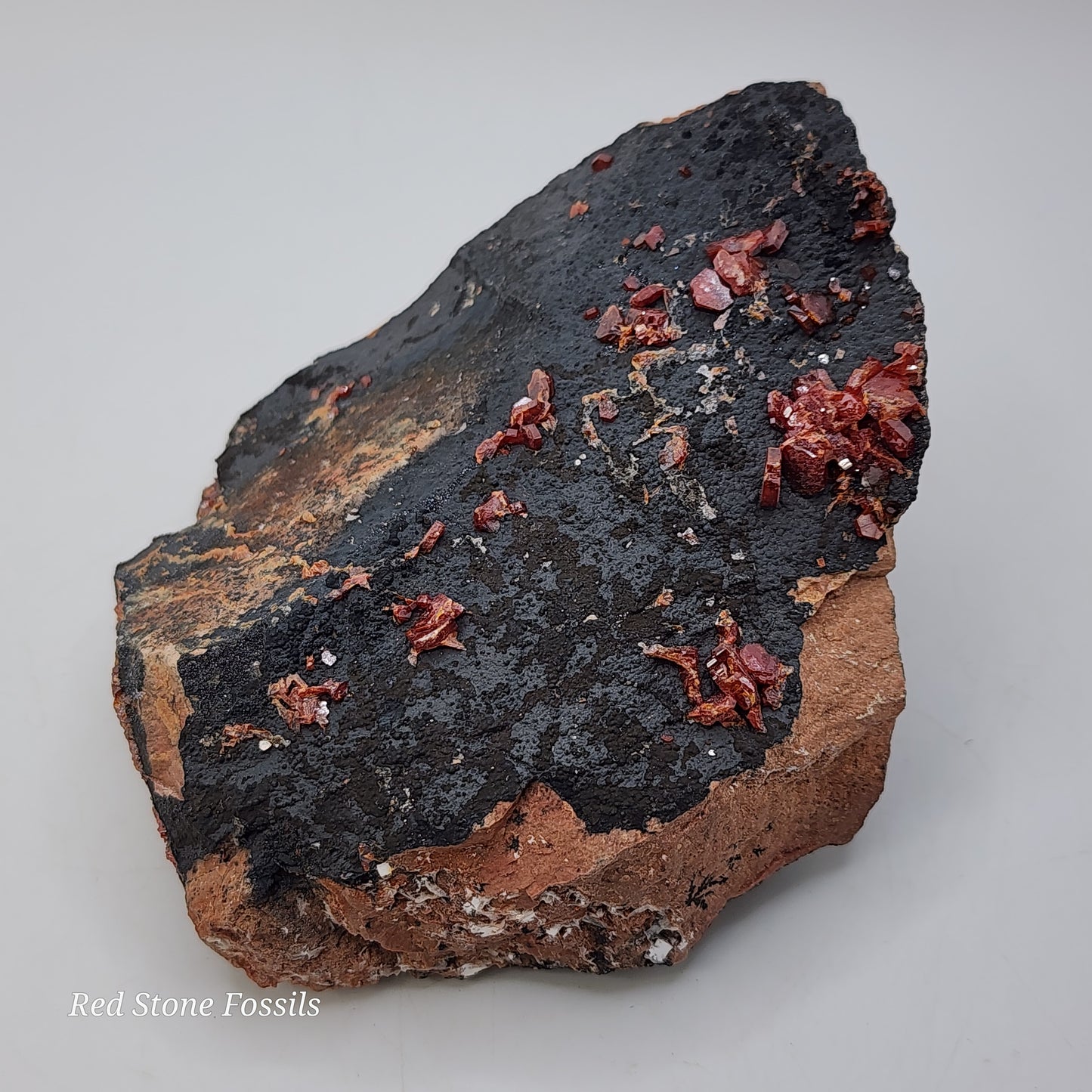 Vivacious Vanadinite on Black Goethite