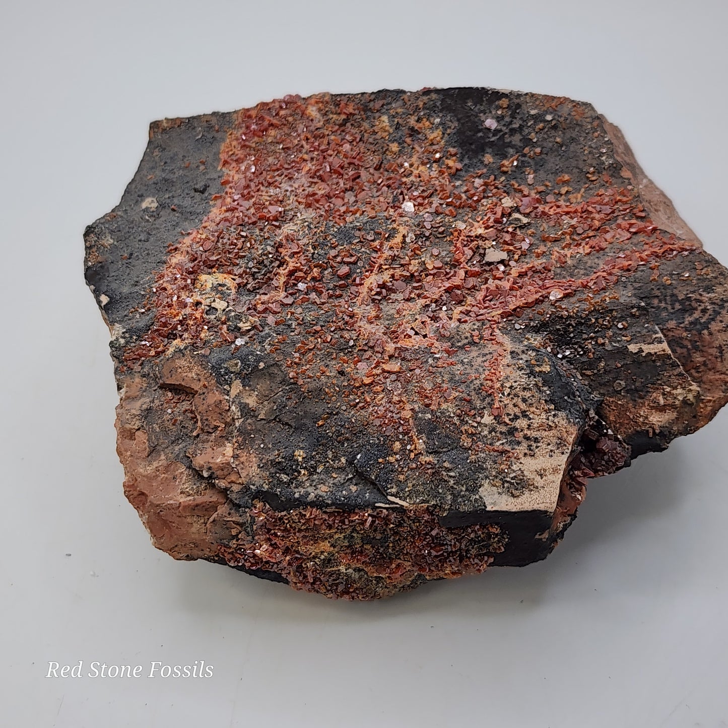 Vivacious Vanadinite on Black Goethite