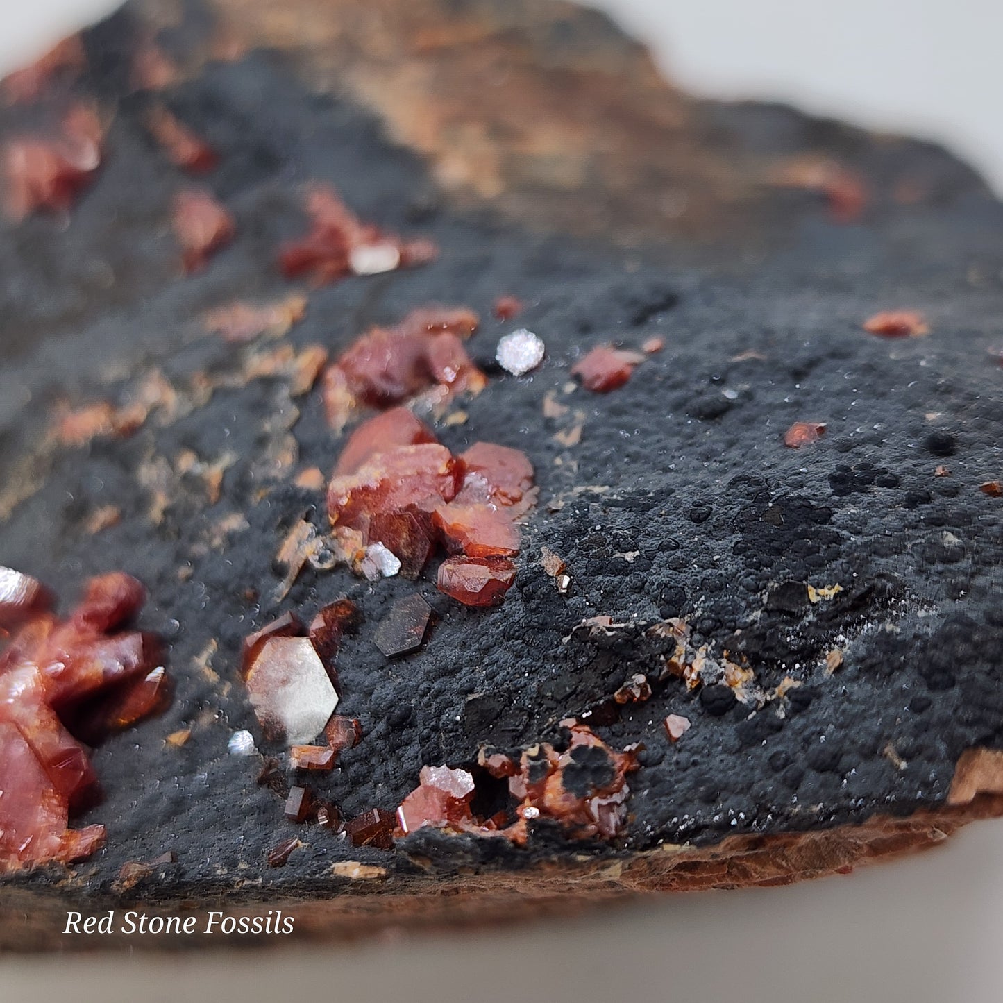 Vivacious Vanadinite on Black Goethite