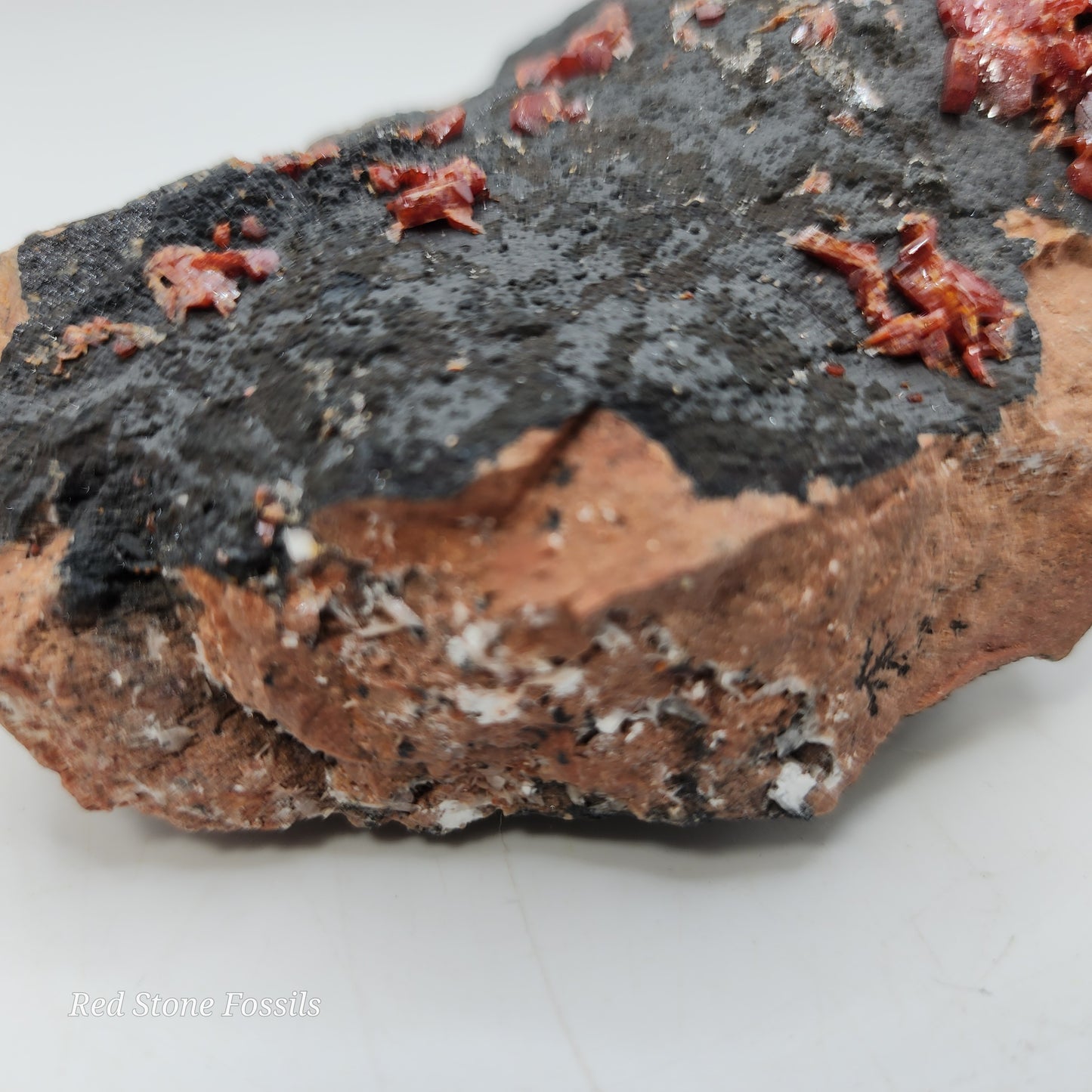 Vivacious Vanadinite on Black Goethite