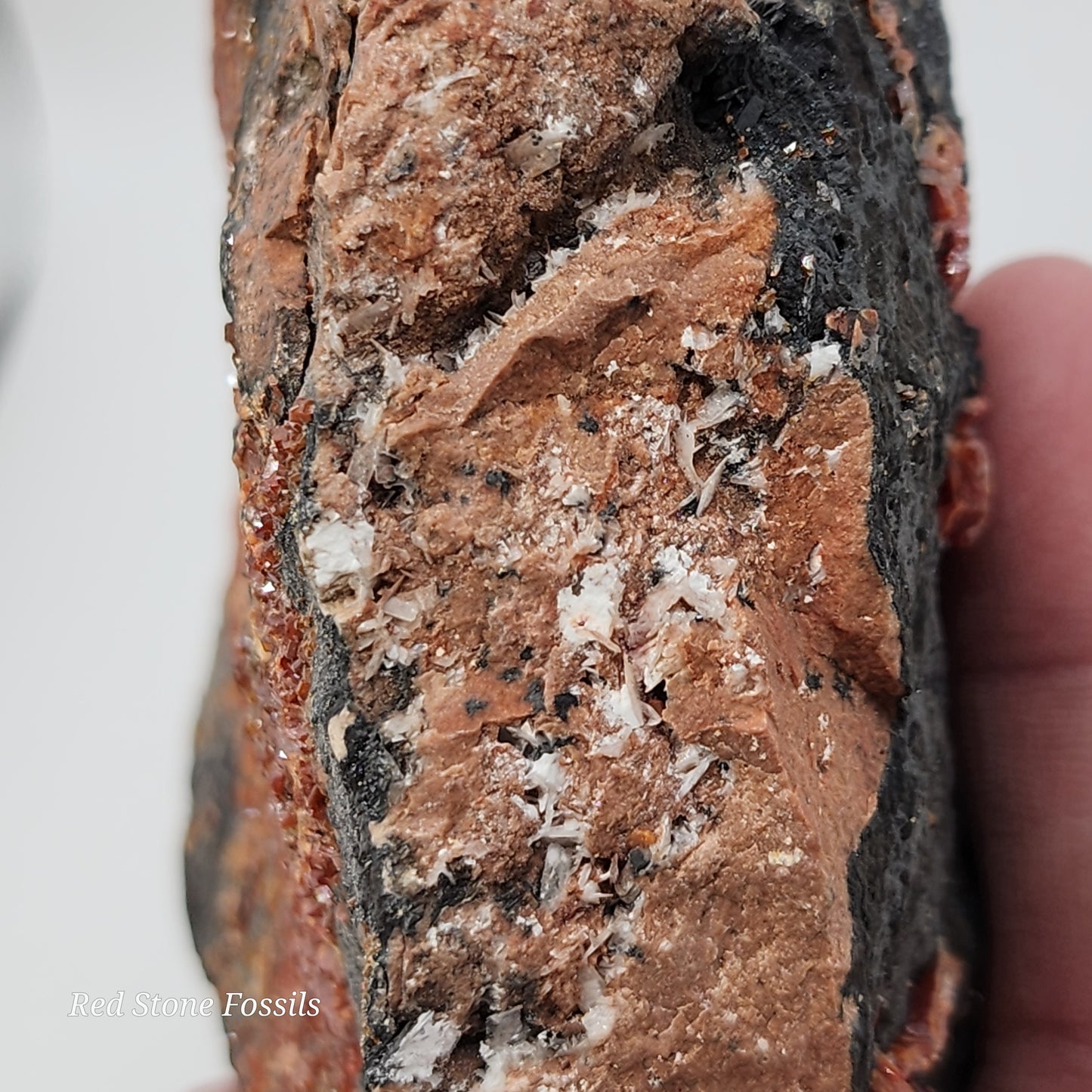 Vivacious Vanadinite on Black Goethite