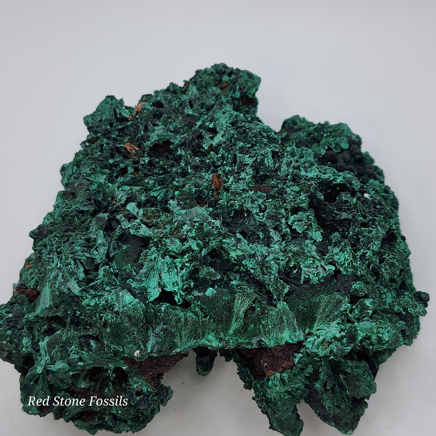 Fascinating Fibrous Malachite