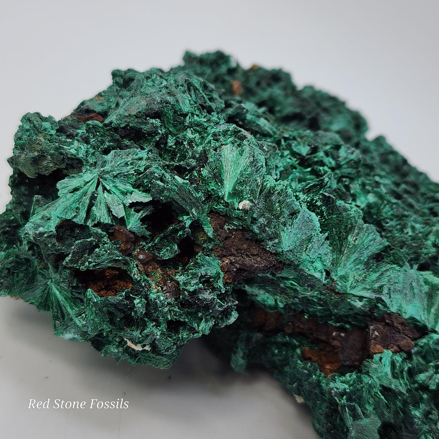 Fascinating Fibrous Malachite