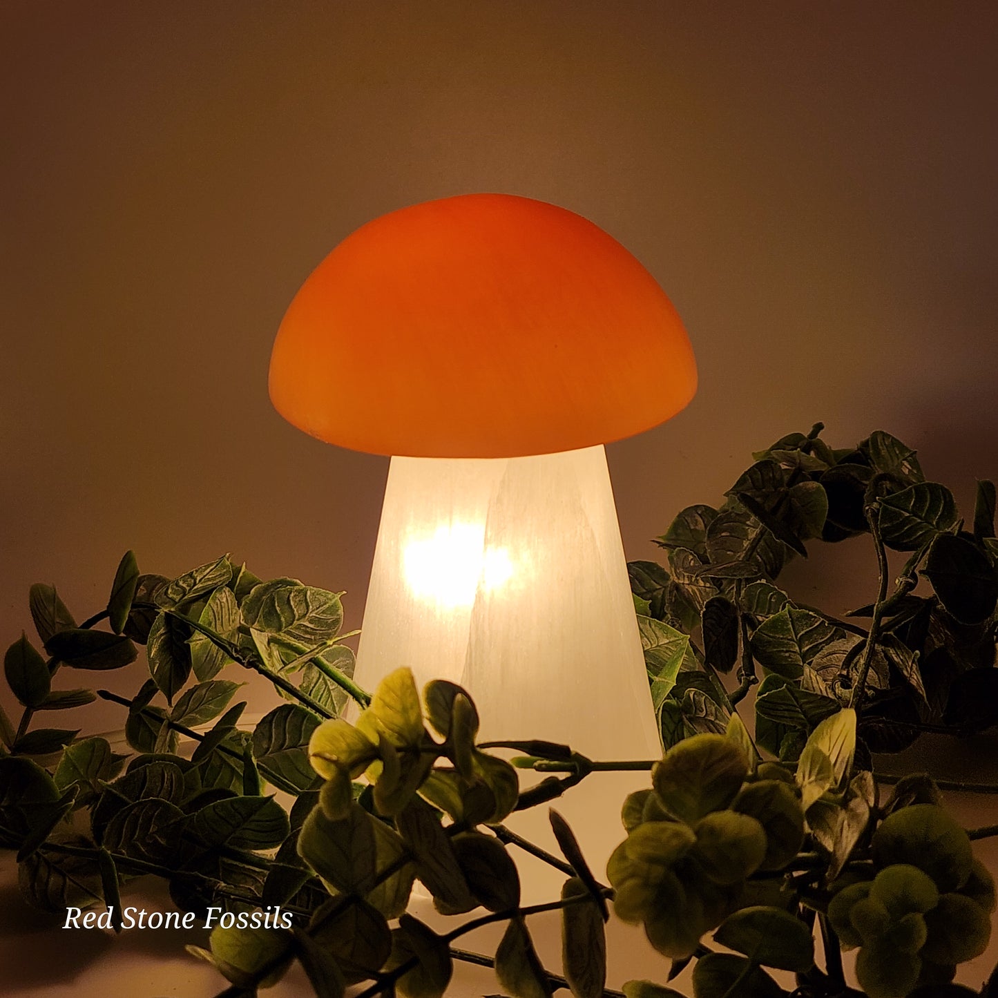 Selenite Mushroom Lamp