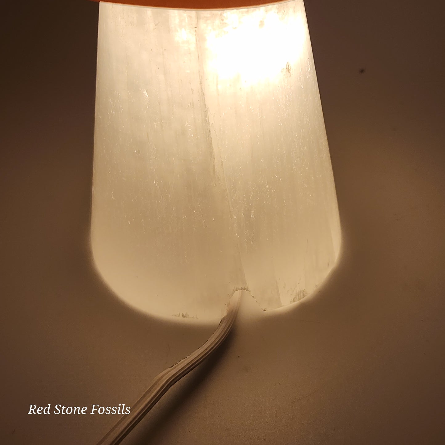 Selenite Mushroom Lamp