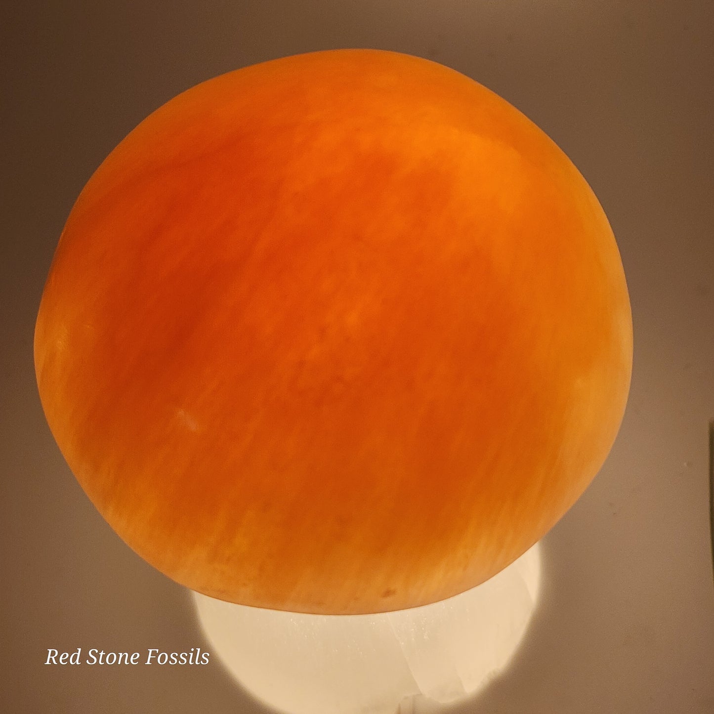 Selenite Mushroom Lamp