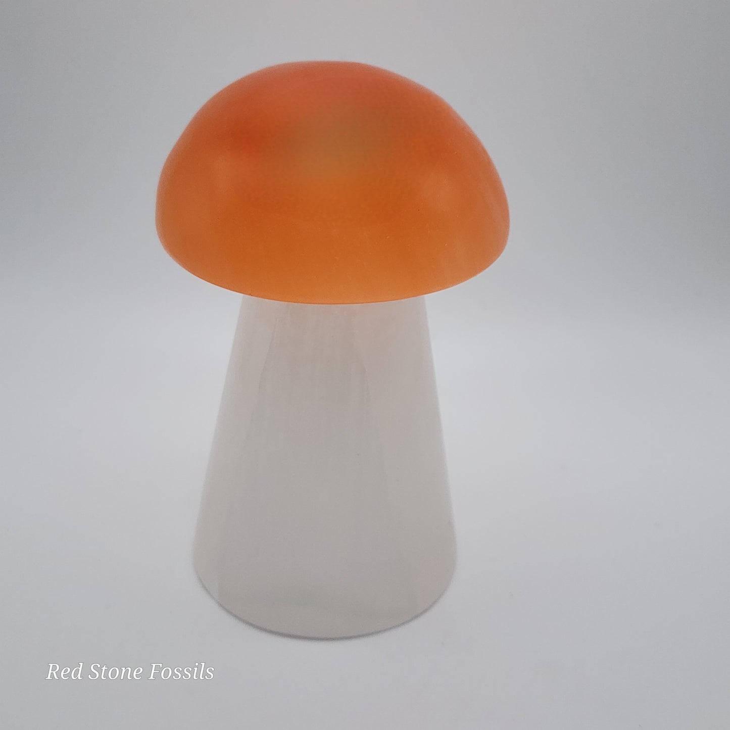 Selenite Mushroom Lamp