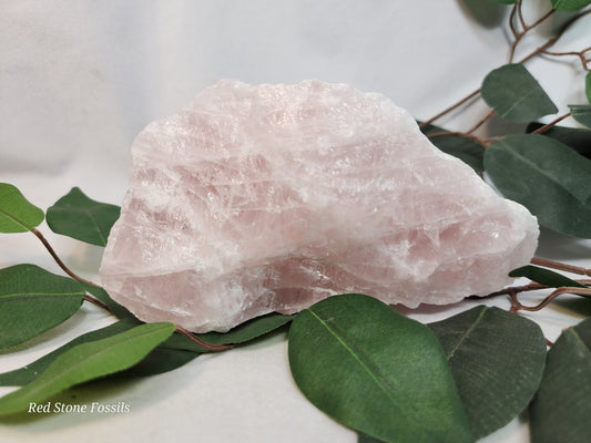 Ravishing Raw Rose Quartz
