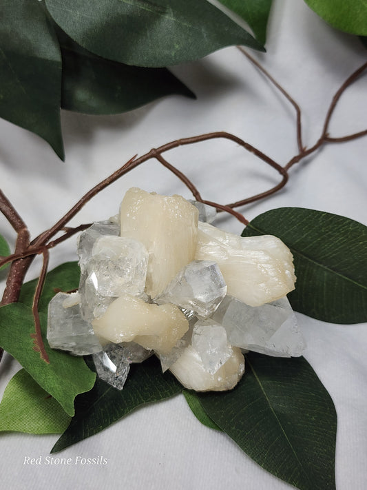 Attractive Apophyllite and Stilbite from India