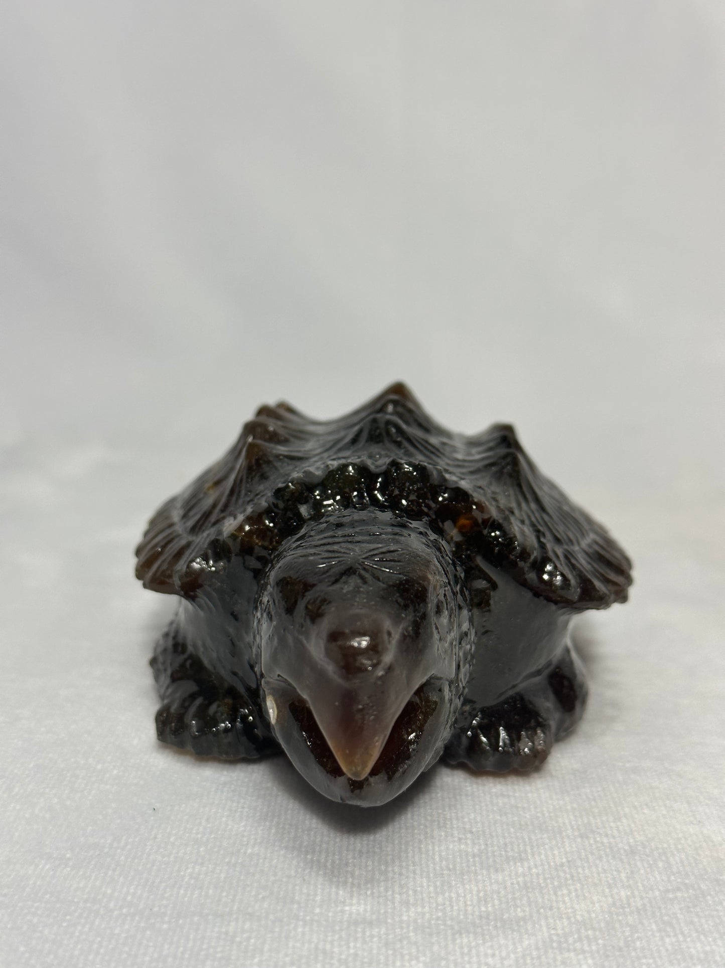 Dark Sumatran Amber Snapping Turtle