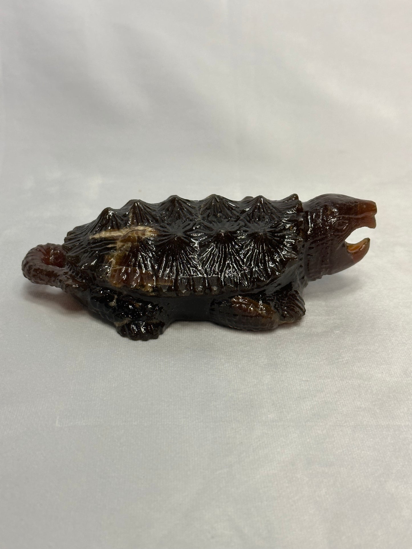 Stunning Amber Snapping Turtle
