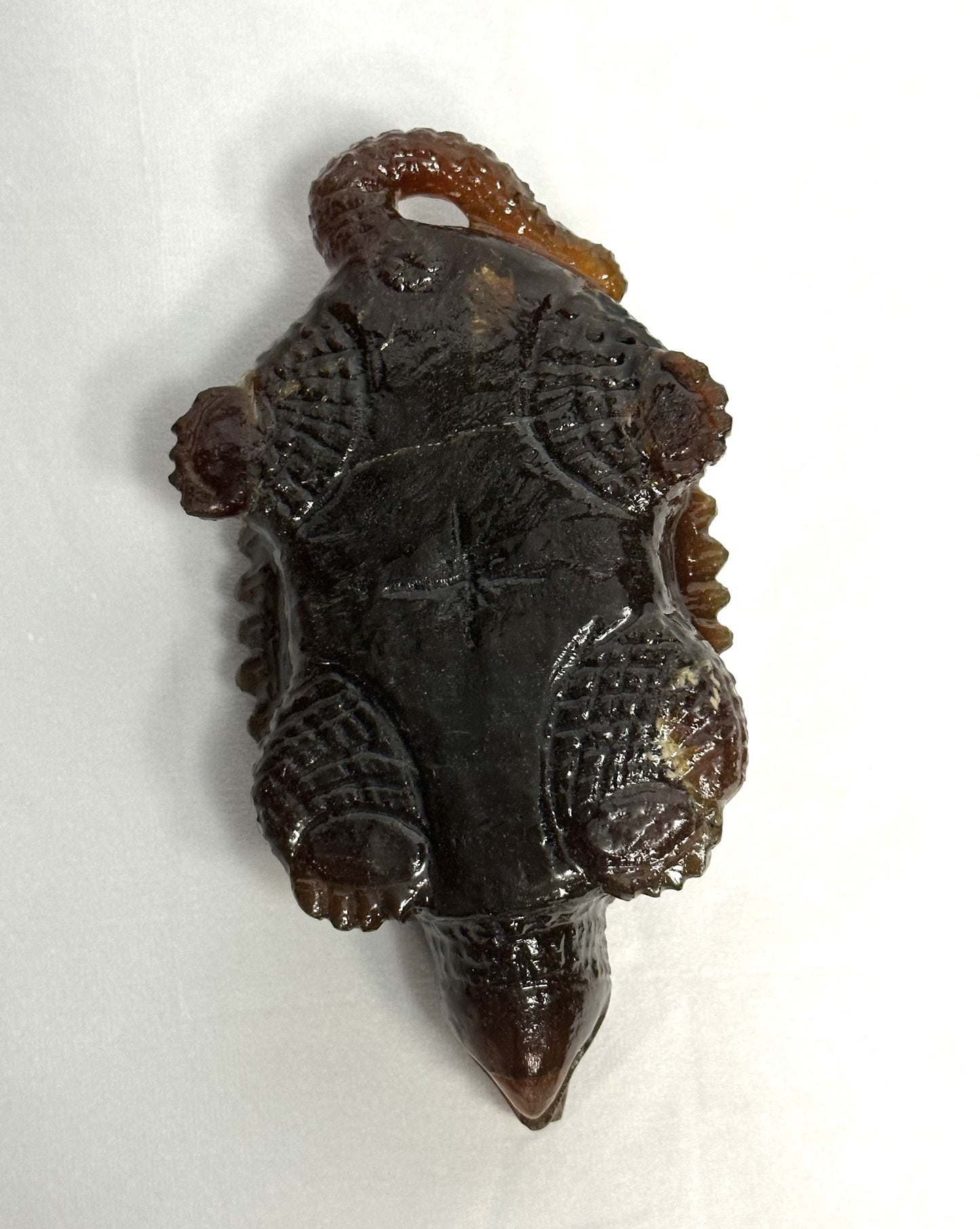 Stunning Amber Snapping Turtle