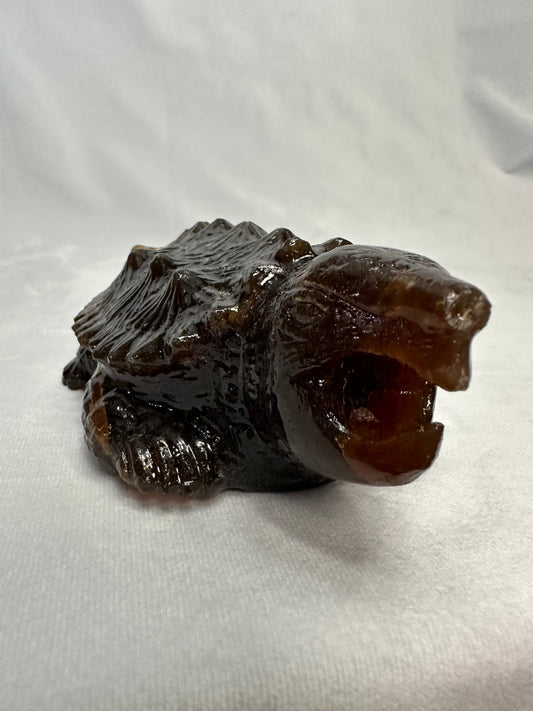 Stunning Amber Snapping Turtle