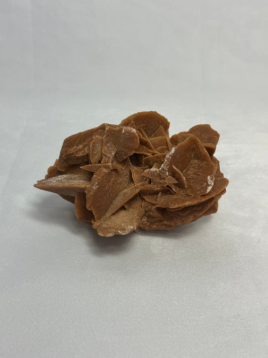 Desert Rose Cluster