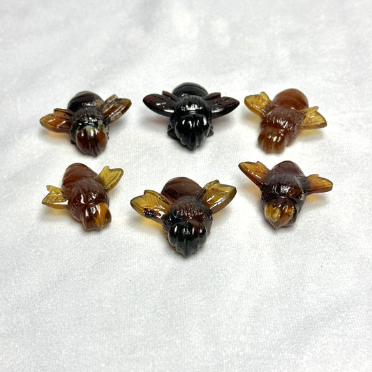 Sumatran Amber Bees