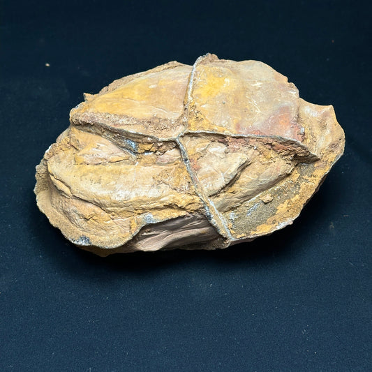 Raw Septarian Nodule