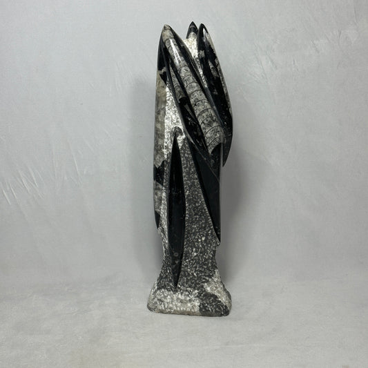 Orthoceras Tower Display Piece