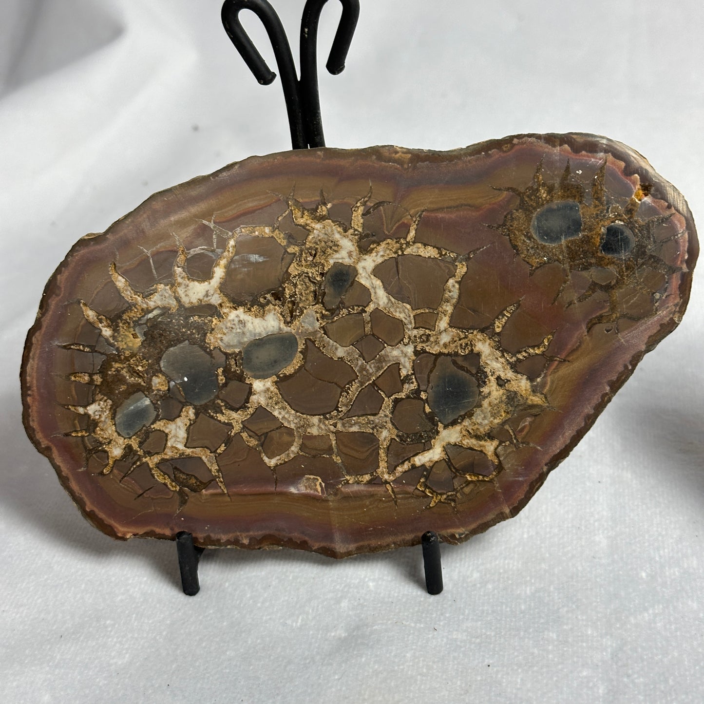 Lovely Split Septarian Nodule