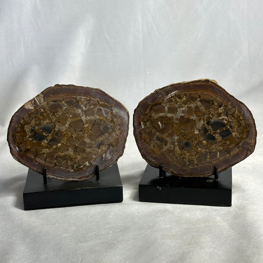 Spectacular Split Septarian Pair