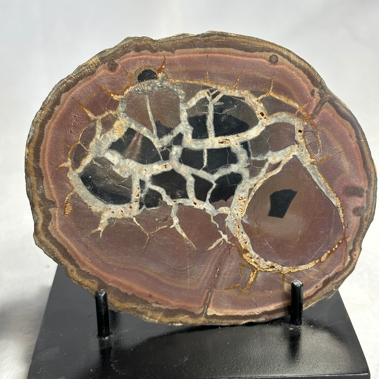 Marvelous Split Polished Septarian Pair