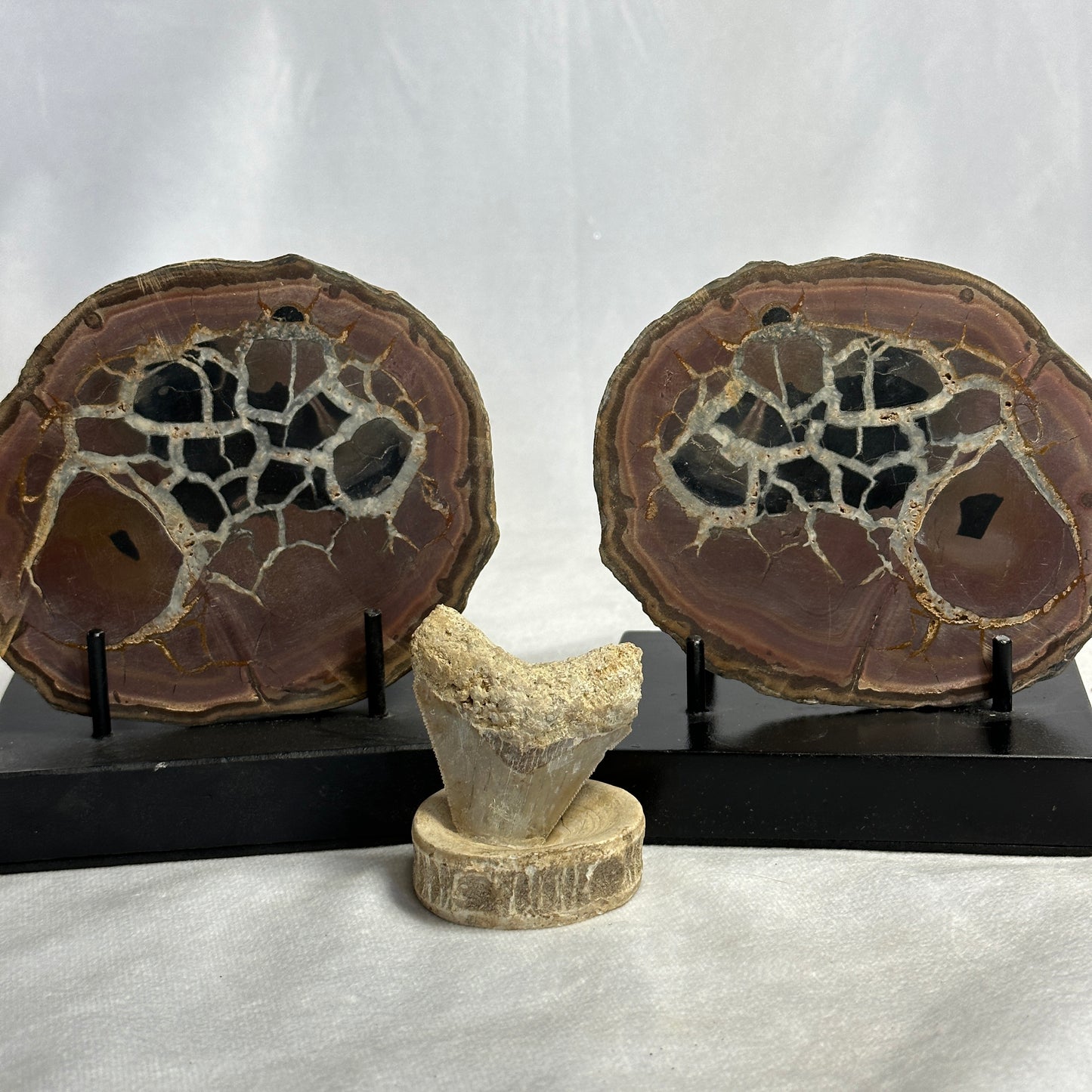 Marvelous Split Polished Septarian Pair