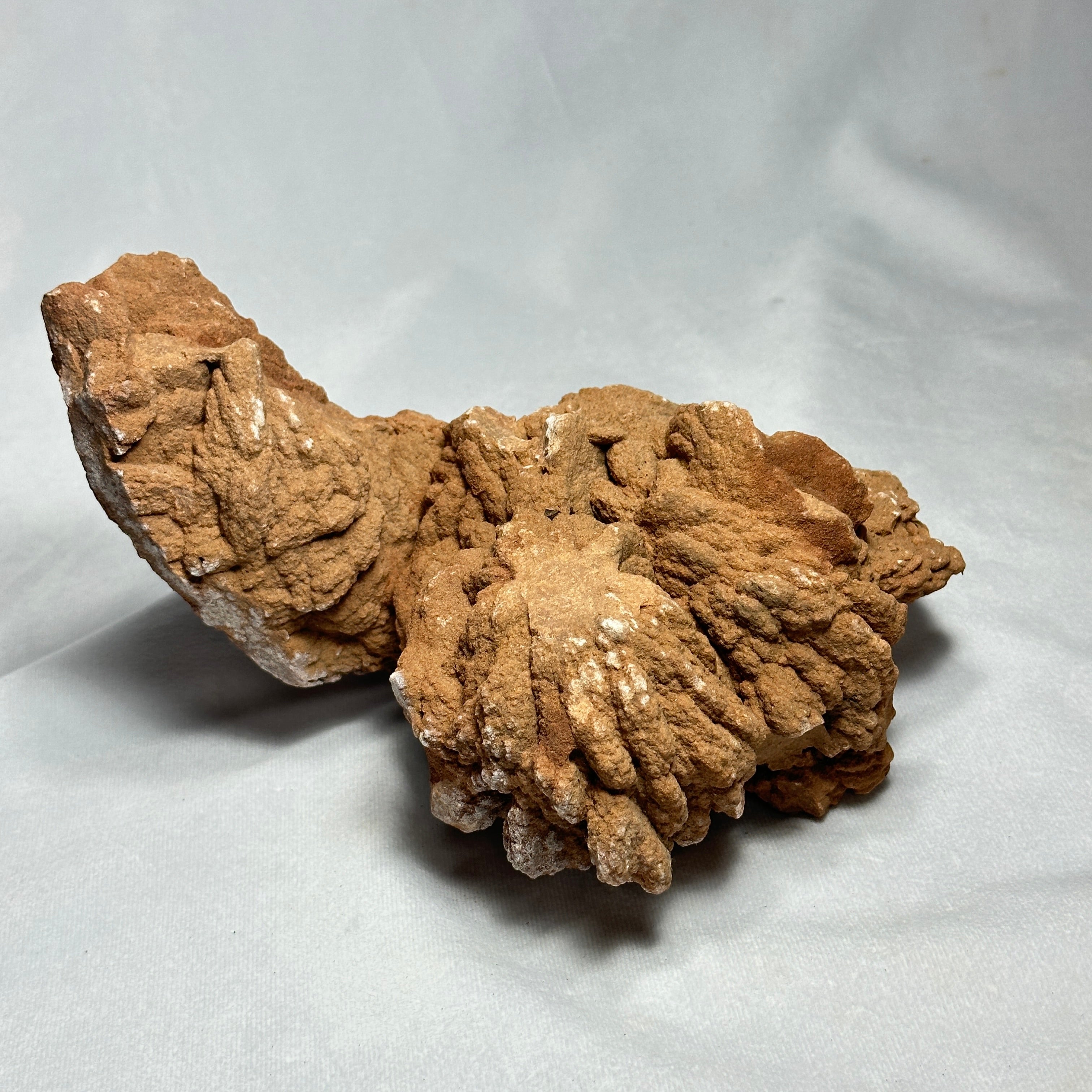 Naturally Formed Rose Rock – Red Stone Fossils