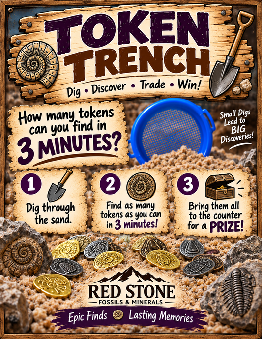 Token Trench