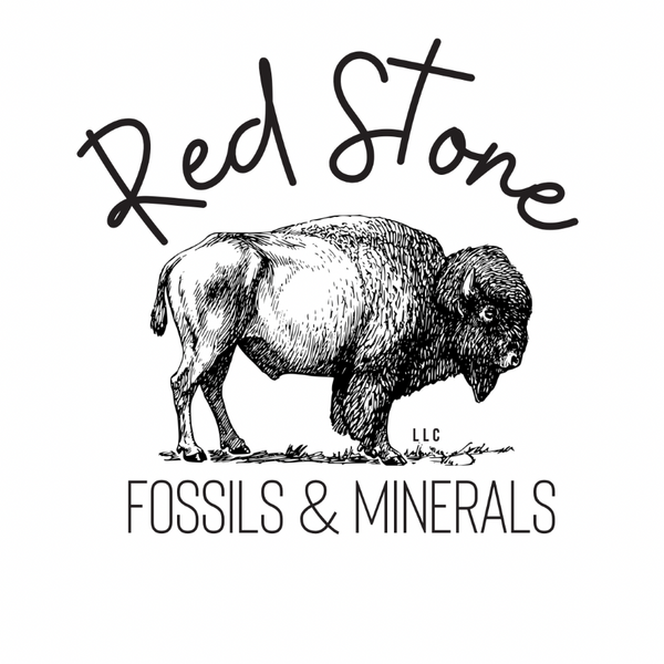 Red Stone Fossils 