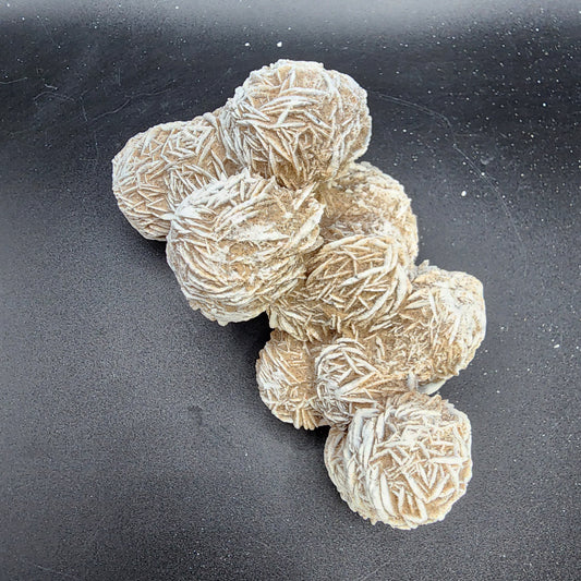 Gorgeous Desert Rose