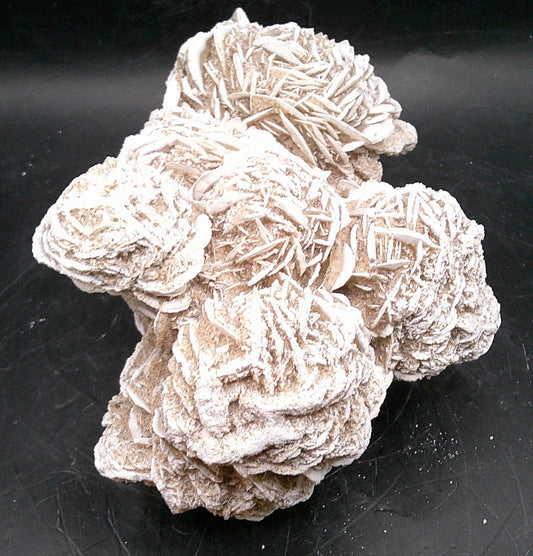 Desert Rose